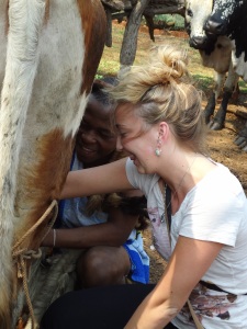 Rachel is a Brave Little YAGM as she learns to milk a cow during orientation.